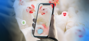 Poultry Management platform